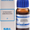 HYDRANGEA-ARBO-Q SBL 30ML