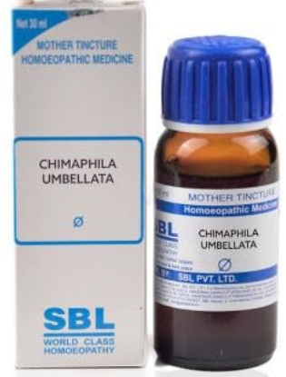 CHIMAPHILA-UMBE-Q SBL 30ML