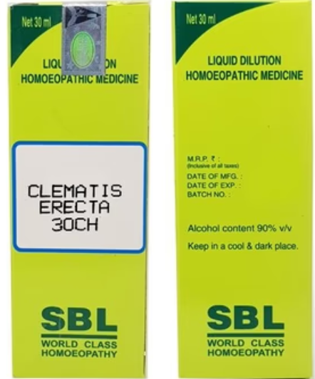 CLEMATIS ERECTA-30C SBL 30ML