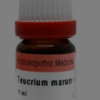 TEUCRIUM MARUM VERU 30 11ML.