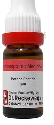 POTHOS-FOET 200 11ML.