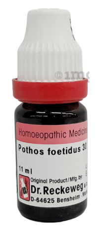 POTHOS-FOETIDUS 30 11ML.
