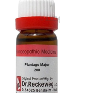 PLANTAGO-MAJO 200 11ML.