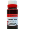 PLANTAGO-MAJO Q 20ML.