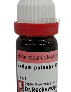 LEDUM-PALU 30 11ML.