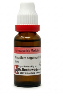 CALADIUM-SEGU Q 20ML.