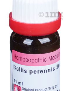 BELLIS-PERE 30 11ML.