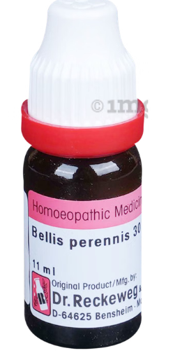 BELLIS-PERE 30 11ML.