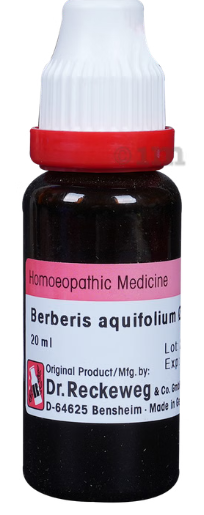 BERBERIS-AQUIF Q 20ML.