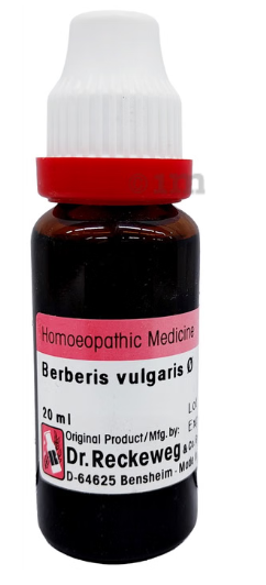 BERBERIS-VULG Q 20ML.