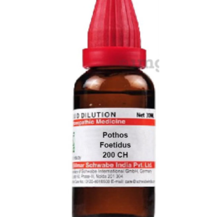 POTHOS-FOET CH200 30ML.WSI