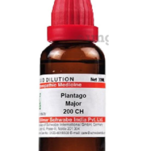 PLANTAGO-MAJO CH200 30ML.WSI