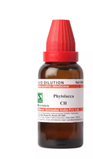 PHYTOLACCA 1M 30ML.WSI