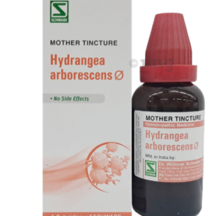 HYDRANGEA-ARBO Q 30ML.WSI