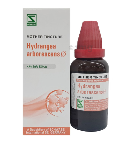HYDRANGEA-ARBO Q 30ML.WSI