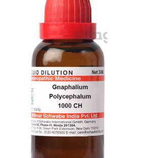 GNAPHALIUM-POLY 1M 30ML.WSI