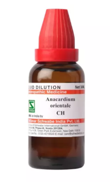 ANACARDIUM-ORIENT 1M