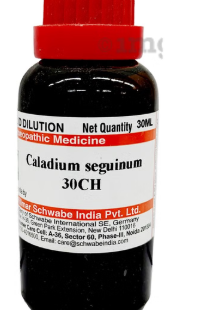 CALADIUM-SEGU CH30 30ML.WSI