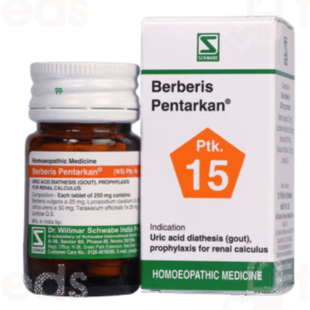 BERBERIS PTK15 20G.WSI