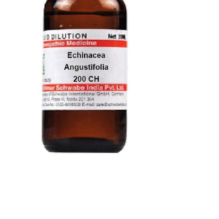 ECHINACEA-ANGU CH200 30ML.WSI