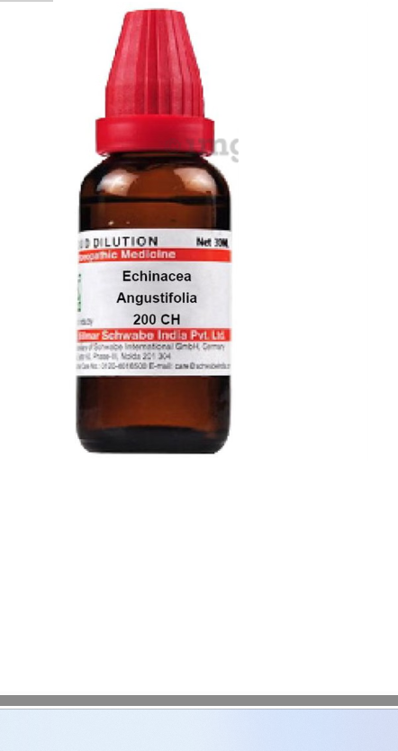 ECHINACEA-ANGU CH200 30ML.WSI