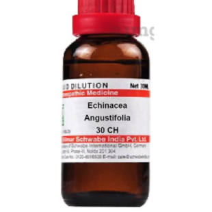 ECHINACEA-ANGU CH30 30ML.