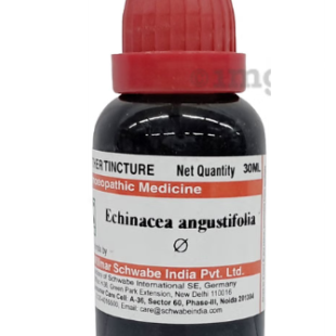 ECHINACEA-ANGU Q 30ML.WSI