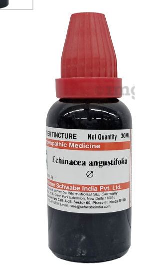 ECHINACEA-ANGU Q 30ML.WSI