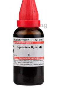 EQUISETUM-HYEM Q 20ML.WSI